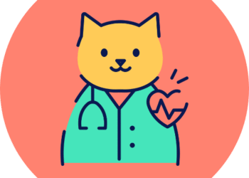 Medical Buddy