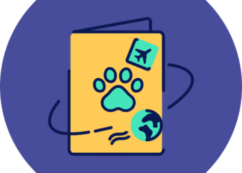 Travel Buddy