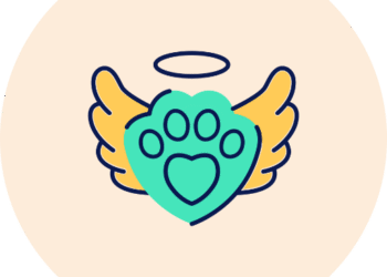 Ángel de Apoyo