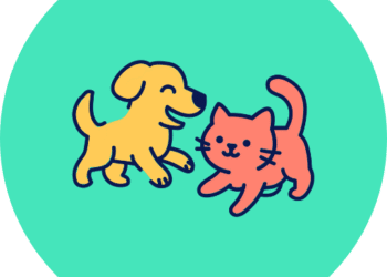 Soul Match