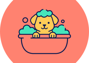 Spa Day