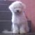 Imagen de perfil de Tota